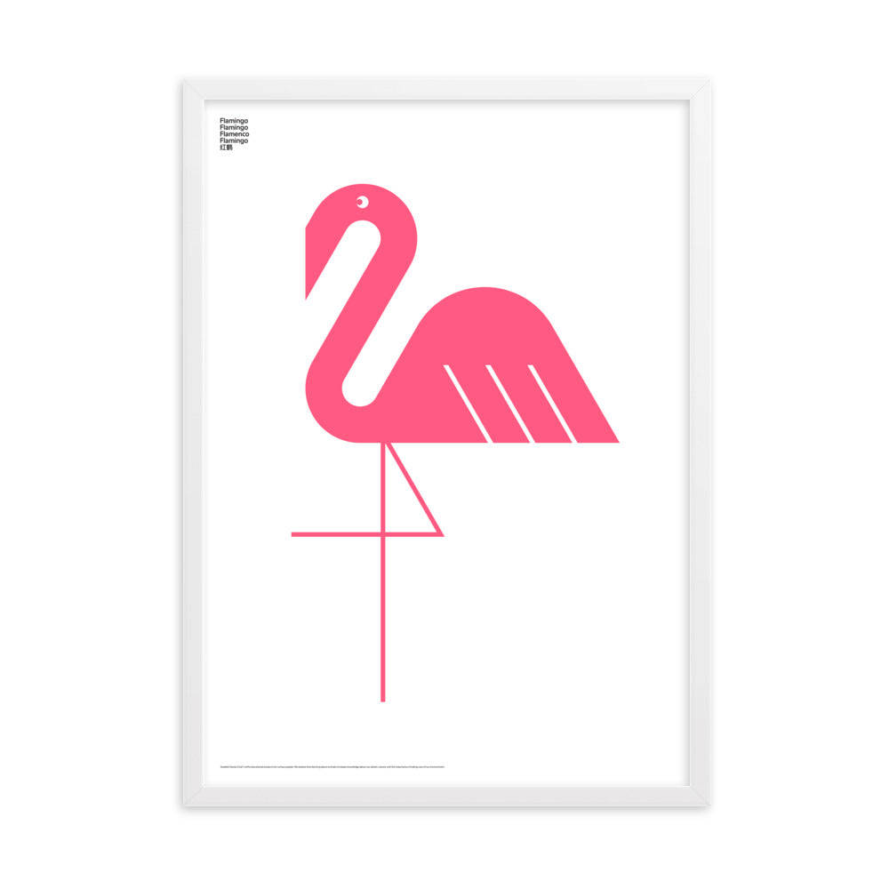 Framed Animal Flamingo Poster