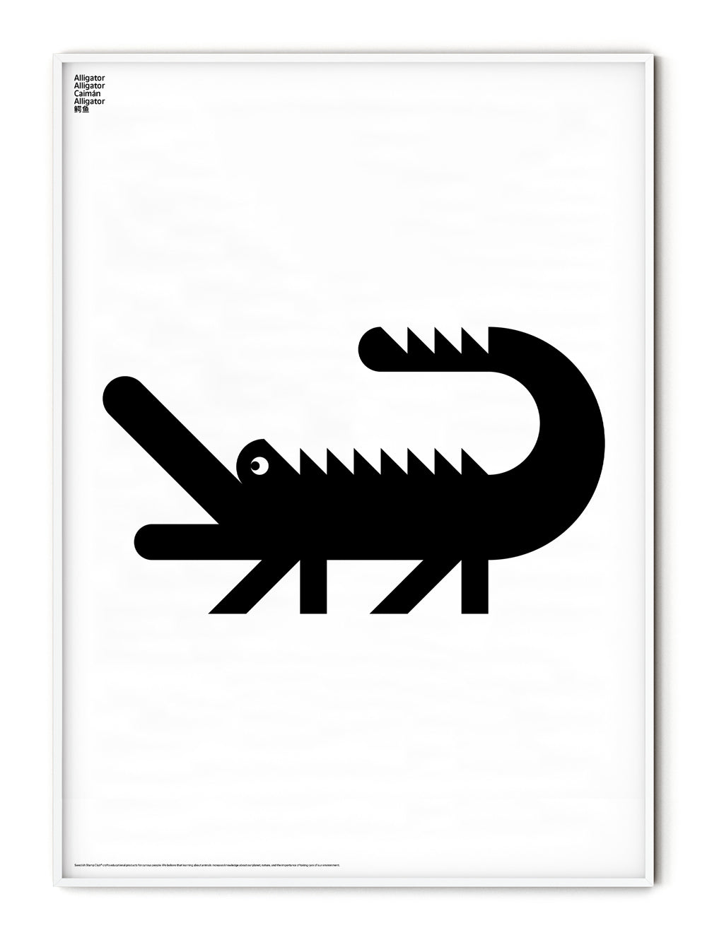 Animal Alligator Poster