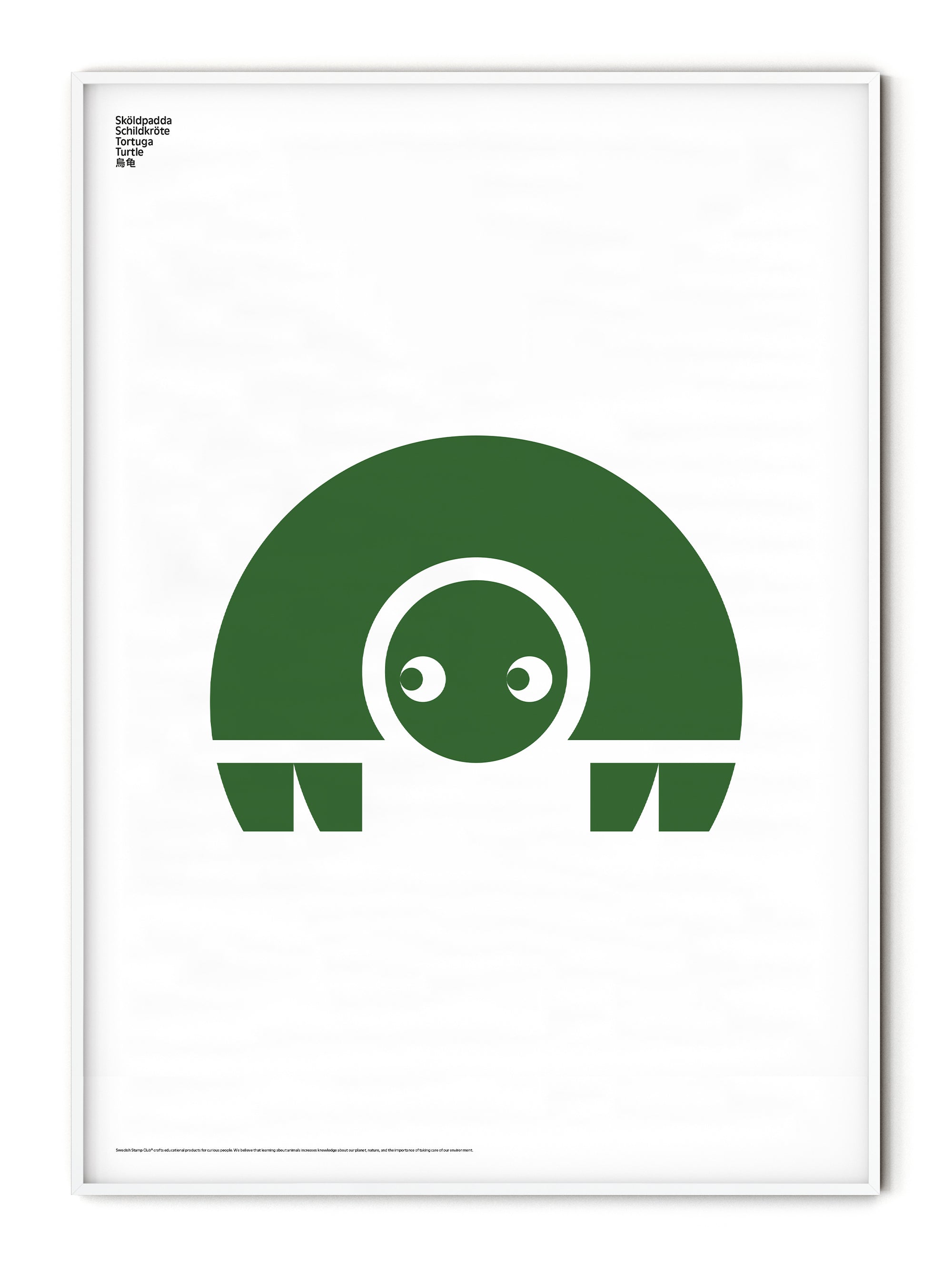 Animal Turtle Poster