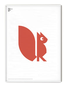 Animal Squirrel Poster