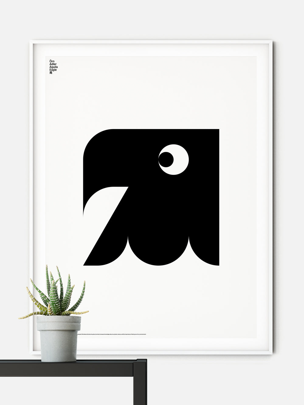 Animal Eagle Poster
