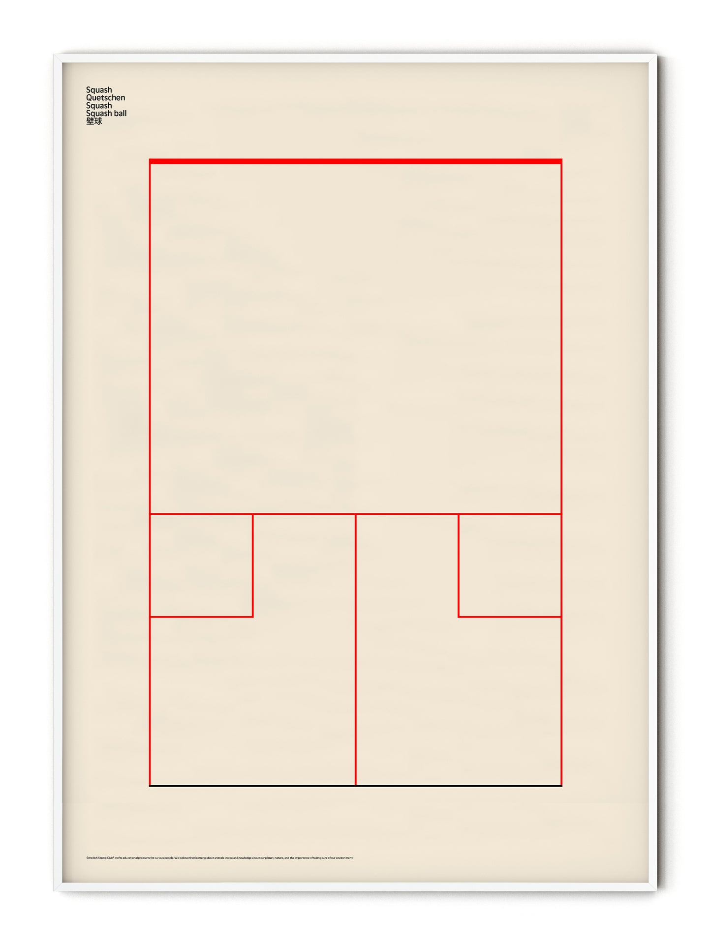 Sport Squash Poster