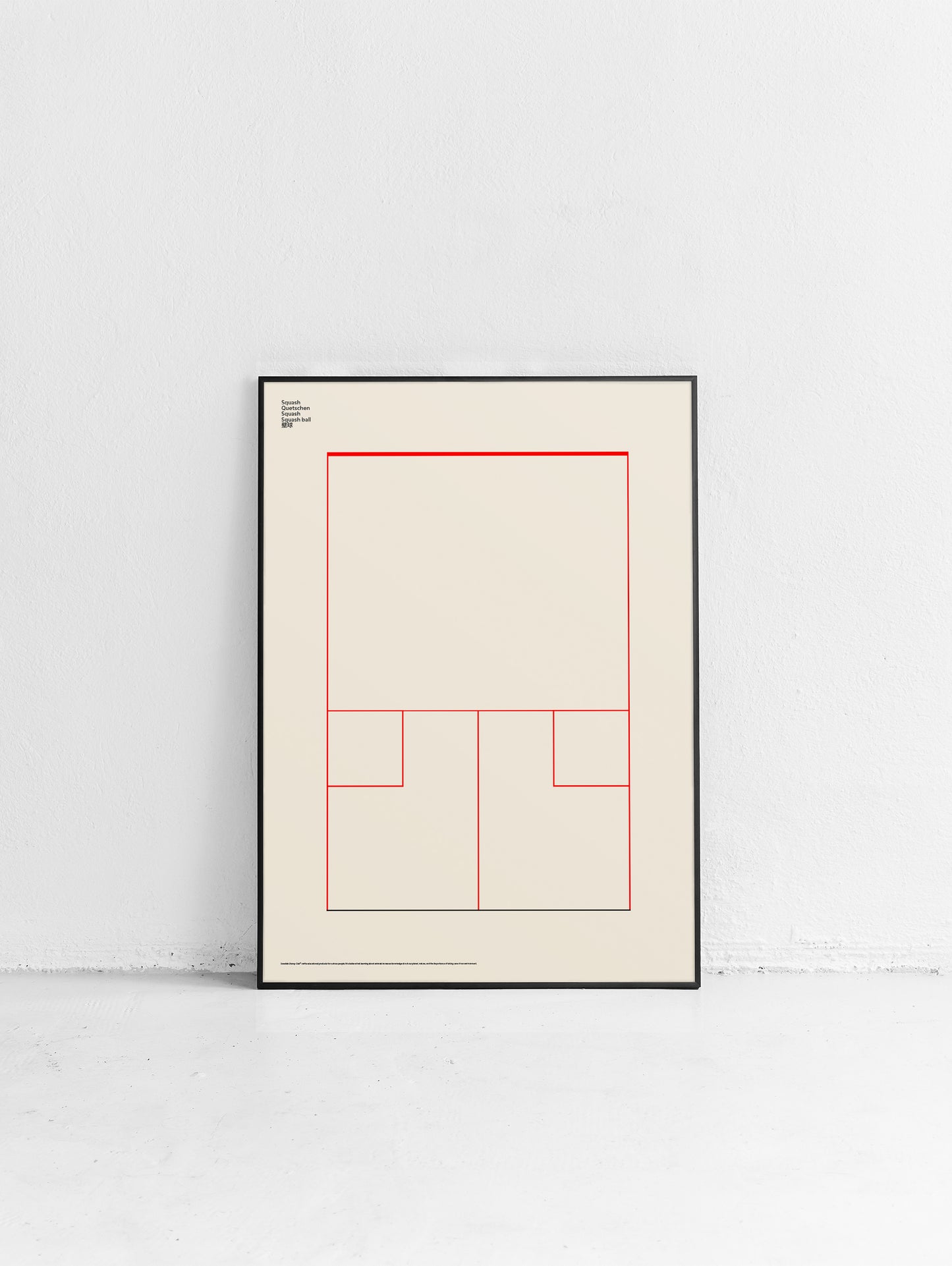 Sport Squash Poster