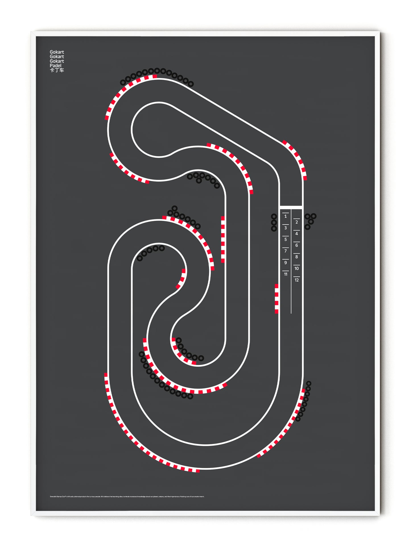 Sport Gokart Poster